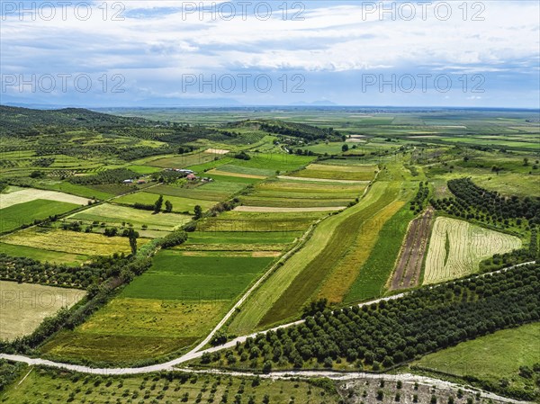 Fields over Apollonia Archaeological Park from a drone, Pojan, Albania, Europe