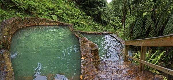 Two turquoise-coloured thermal pools made of stone, surrounded by lush vegetation and ferns,