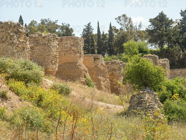 Remains of ancient walls in a landscape of green and yellow vegetation under a blue sky, Tunis in