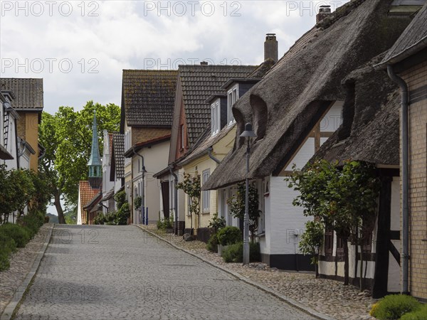 Historic cobbled village street with thatched roof houses and brick houses, lined with trees,