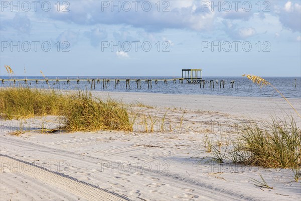 Sea oats and abandoned damaged piers along the man-made sand beach at Pass Christian, Mississippi,