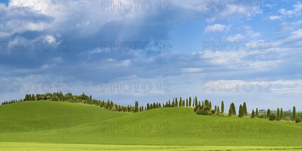 Crete Senesi, Province of Siena, Tuscany, Italy, Europe