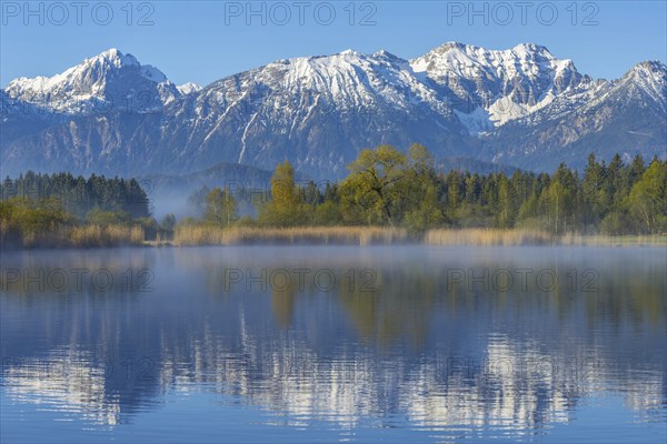 Morning atmosphere at the Hopfensee, near Fuessen, Ostallgaeu, Allgaeu, behind the Allgaeu Alps,