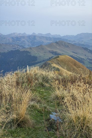 Path through the grasses, leading to a mountain range in the background, mountain panorama with