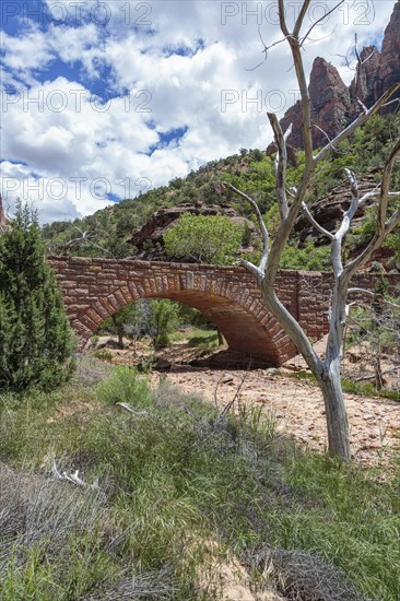 Stone arched bridge over dry Pine Creek in Zion National Park, Utah, United States of America, USA,