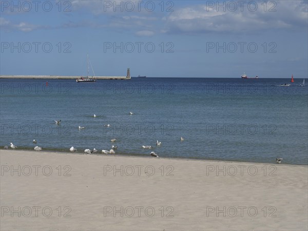 Quiet sandy beach with seagulls on the shore, view of the sea with a sailing boat and a lighthouse