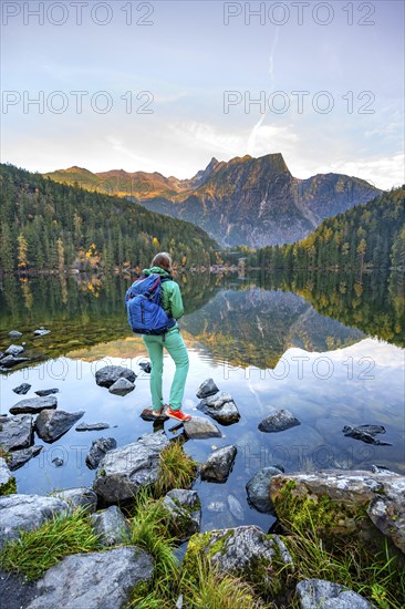 Hiker at the lake, mountain peaks of the Oetztal Alps are reflected in Lake Piburger See, in