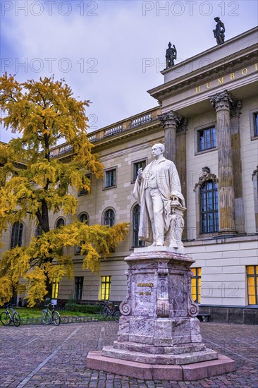 Memorial to Hermann von Helmholtz, Court of Honour of the Humboldt University, Berlin, Germany,