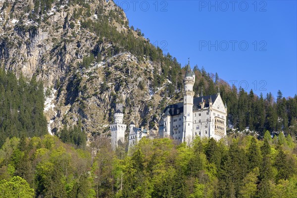 Neuschwanstein Castle in spring, Schwangau, Ostallgaeu, Allgaeu, Swabia, Upper Bavaria, Bavaria,
