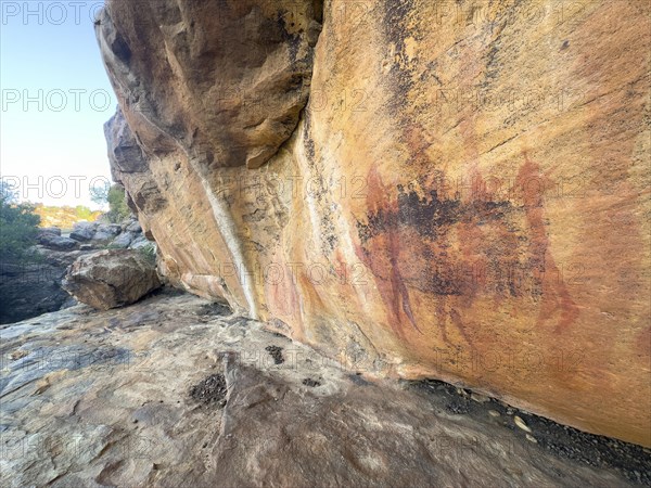 Prehistoric depiction on a rock, San rock paintings, Sevilla Art Rock Trail, Cederberg Mountains,
