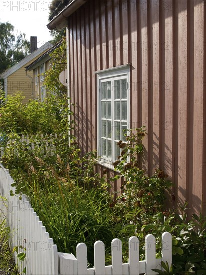 Brown house with white windows surrounded by green plants behind a white fence, colourful wooden