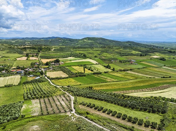 Fields over Apollonia Archaeological Park from a drone, Pojan, Albania, Europe