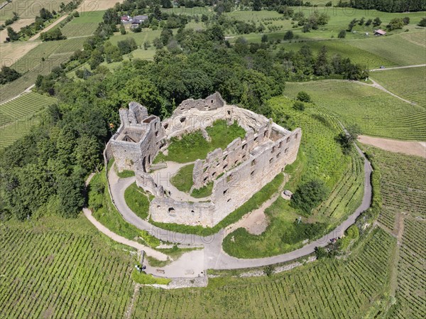 Aerial view of Staufen Castle, on a vineyard, Schlossberg, Staufen im Breisgau, Markgraeflerland,