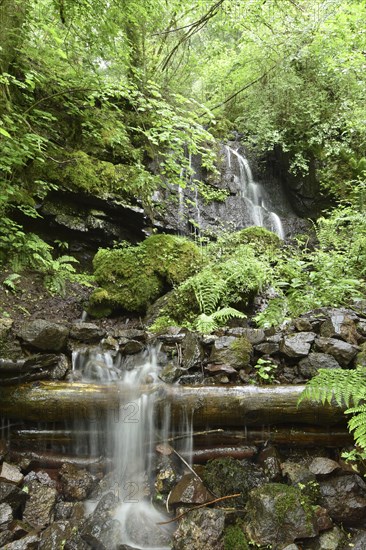 Waterfall with pond in the forest near Gerach in Hunsrueck, Rhineland-Palatinate, Germany, Europe