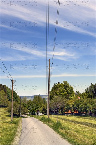 Foehn sky and narrow road with wooden electricity pylons, Allgaeu, Bavaria, Germany, Europe
