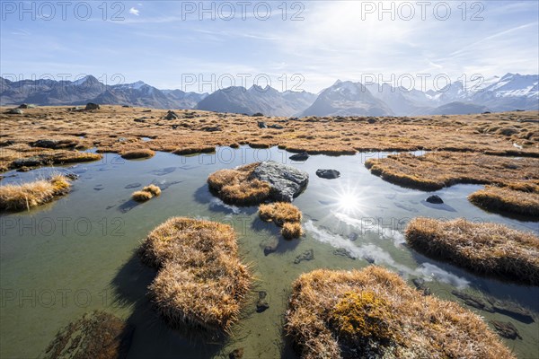 Small lake on the high plateau of the Gurgler Seenplatte, glaciated mountain peaks in the