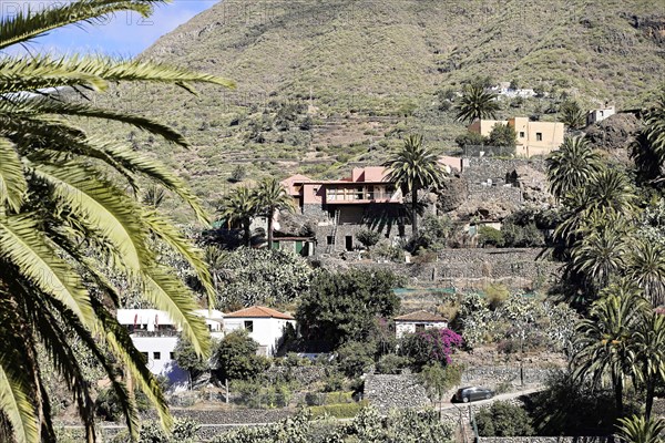 Mountain village Masca, Masca Gorge, Montana Teno Mountains, Tenerife, Canary Islands, Spain,