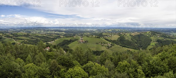 Hilly landscape, vineyards, panoramic view, view from the Demmerkogel lookout point, St.