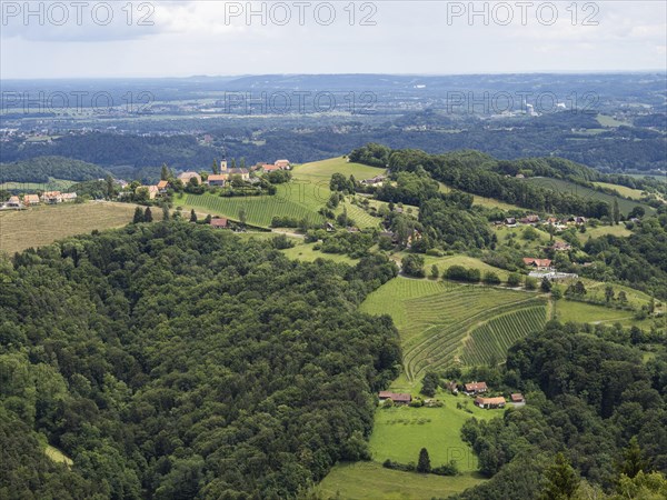 Hilly landscape, vineyards, view from the Demmerkogel lookout point, St. Andrae-Hoech, Sausal wine