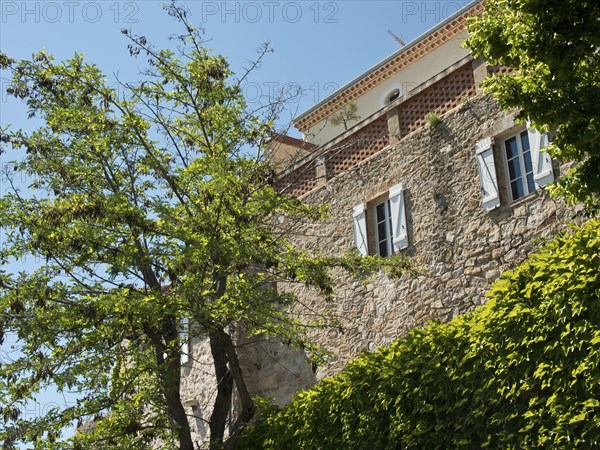 A light-coloured stone house with green trees and shutters under a blue sky, with climbing plants