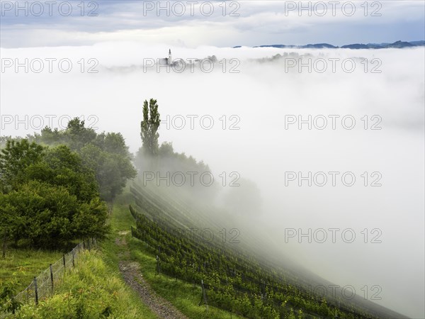 Church rises out of the morning mist, Frauenberg pilgrimage church, near Leibnitz, Styria, Austria,
