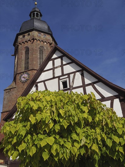 Traditional tower and half-timbered house surrounded by trees under a blue sky, historic
