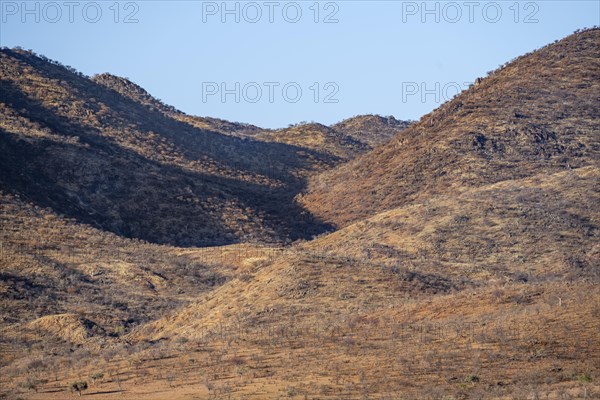 Dry red hills in the evening light, Epupa, Kaokoveld, Kunene, Namibia, Africa