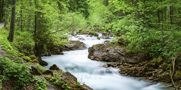 Oybach, Oytal, near Oberstdorf, Allgaeu, Bavaria, Germany, Europe