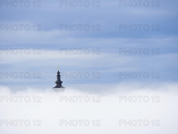 Church tower rises out of the morning mist, Frauenberg pilgrimage church, near Leibnitz, Styria,