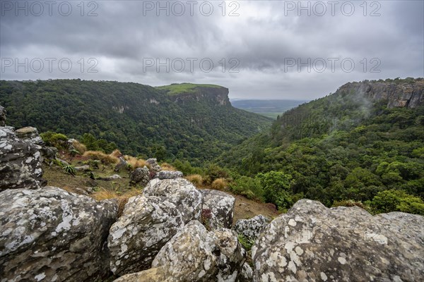 View of the Graskop Gorge with dense forest from the plateau, Panorama Chalets and Rest Camp,