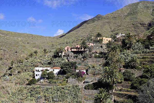 Mountain village Masca, Masca Gorge, Montana Teno Mountains, Tenerife, Canary Islands, Spain,