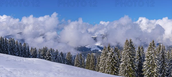 Panorama Hoehenweg, Kleinwalsertal, Allgaeu Alps, Vorarlberg, Austria, Europe
