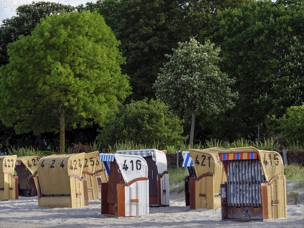 Beach chairs lined up in the sand against a backdrop of dense, green trees, colourful beach chairs