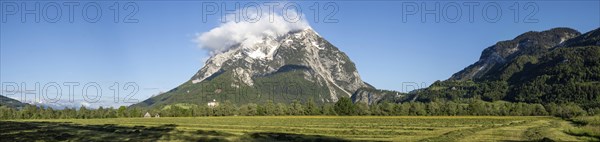 Freshly mown meadow, Grimming mountain range in the morning light, panoramic shot, near Irdning,