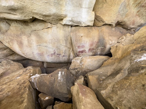 Prehistoric animal depictions on a rock, San rock paintings, Sevilla Art Rock Trail, Cederberg