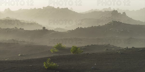 Parque Natural de Los Volcanes, near Masdache, Lanzarote, Canary Islands, Spain, Europe