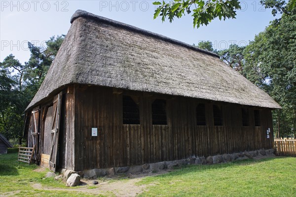 Old sheepfold for Heidschnucken in the Hoepen nature reserve, Lueneburg Heath, Lower Saxony,