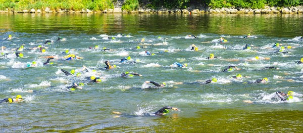 Swimmer, Triathlon, Danube, Ulm, Swabia, Baden-Wuerttemberg, Germany, Europe
