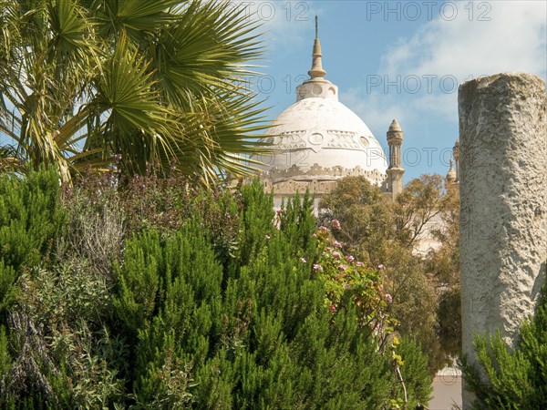 Historic building with dome and palm trees in the foreground, surrounded by green plants, Tunis in