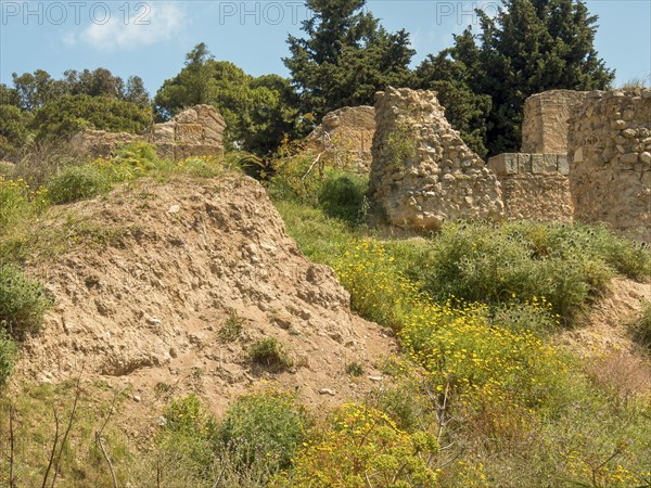Stony ruins on a green hill under a sunny sky, Tunis in Africa with ruins from Roman times, modern