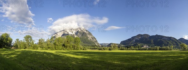 Trees in a meadow, Grimming mountain range in the morning light, panoramic shot, near Irdning,