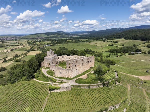 Aerial view of Staufen Castle, on a vineyard, Schlossberg, Staufen im Breisgau, Markgraeflerland,