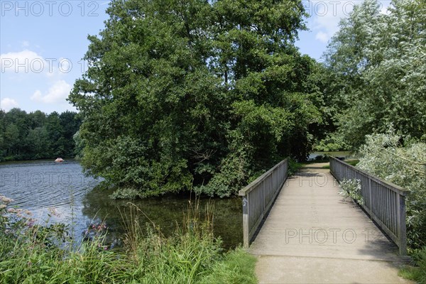 A wooden footbridge leads through a quiet forest path along a lake with a clear blue sky, small