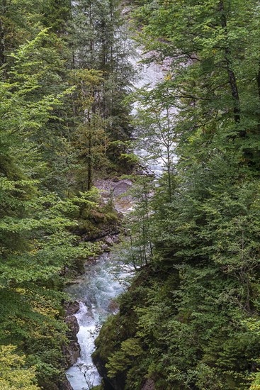 Gorge of the Ostrach, Hinterstein, Bad Hindelang, Allgaeu, Bavaria, Germany, Europe