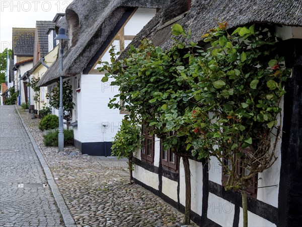 Historic village street with thatched and half-timbered houses, lined with trees and a cobbled