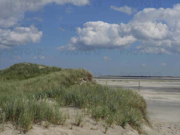 Idyllic dune landscape on the beach with overgrown sand and blue sky, Baltrum Germany