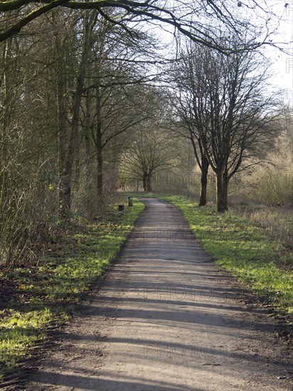 Straight path through the forest, shaded by bare trees, small lake with hiking trails and trees in
