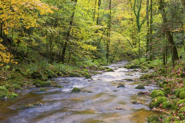 Grobbach in the northern Black Forest near Geroldsau, autumn, Baden-Baden, northern Black Forest,