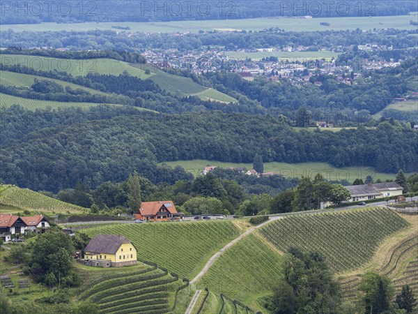 Hilly landscape, vineyards, the town of Leibnitz in the background, view from the Demmerkogel