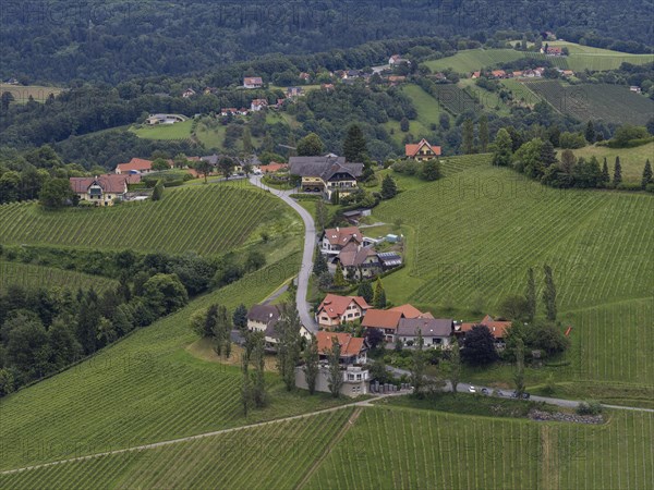 Hilly landscape, vineyards, view from the Demmerkogel lookout point, St. Andrae-Hoech, Sausal wine